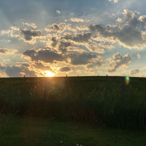 Meet your Posher, Olivia - Picture 1 of 1